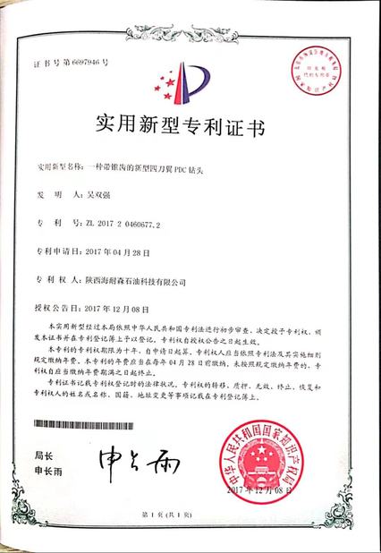 China Shaanxi Hainaisen Petroleum Technology Co.,Ltd certificaten